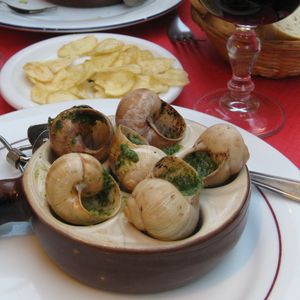 austinfoodscout