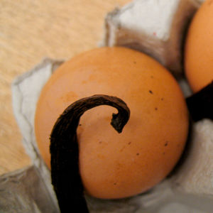 machef