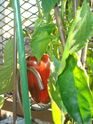 Dsc00859_2