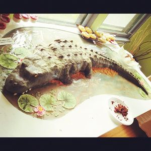 Gator_cake