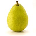 Pear_anjou