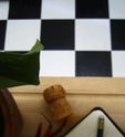 Checker