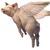 Flying_pig