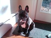 Img00019-20100929-0432_1_