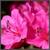 Imagesca1rwz7p