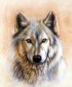 Trace-two-sandi-baker