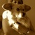 Sammy_and_g_2