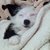 Lulusleep