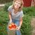 Tomato_harvest