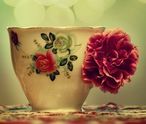 Tumblr_lpovr956sx1qzy5fzo1_500_large