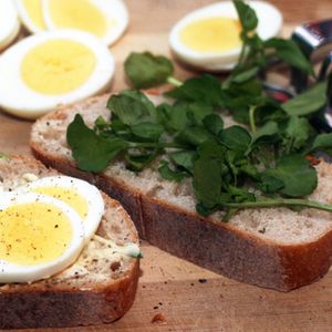 Eggandcress2