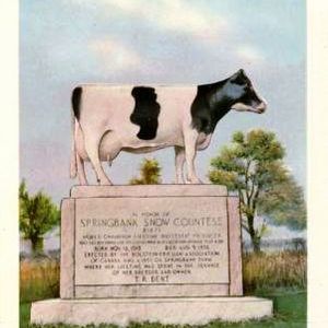 arablefarmland