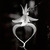 Ghost_orchid_b_w