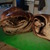 Chocolate_babka