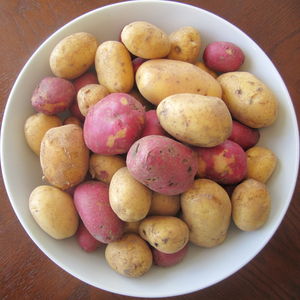 42potatoes
