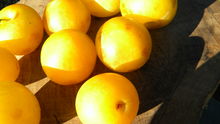 Summer_2010_1048