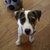 Eugenia_fb