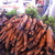 P1060643
