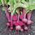 Beet_merlin