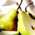 Pears