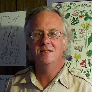 Mark Campidonica