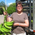 Norma-platano