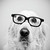 Nerd-dog-thomas-hole