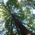 Open-uri20121220-27544-1hypqtc-0