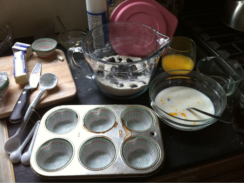 Blackberry Muffins