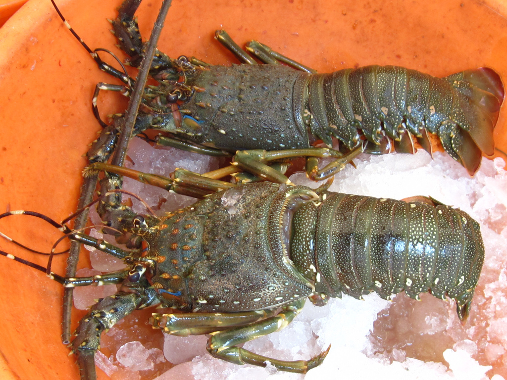 Flame Red Lobster Tails Recipe on Food52