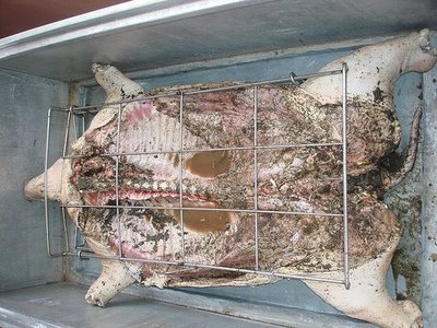 Caja China / Cajun Microwave Cuban Pig Roast Recipe