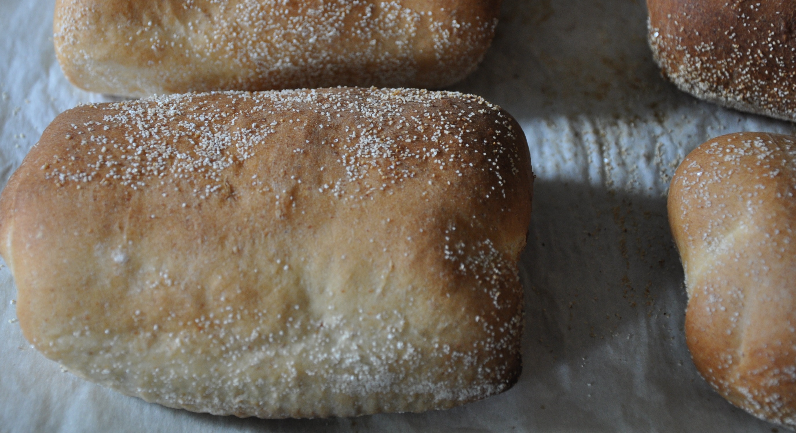 Cuban Sandwich Rolls Recipe on Food52