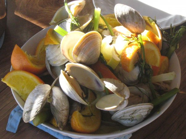 clams with fennel and oranges