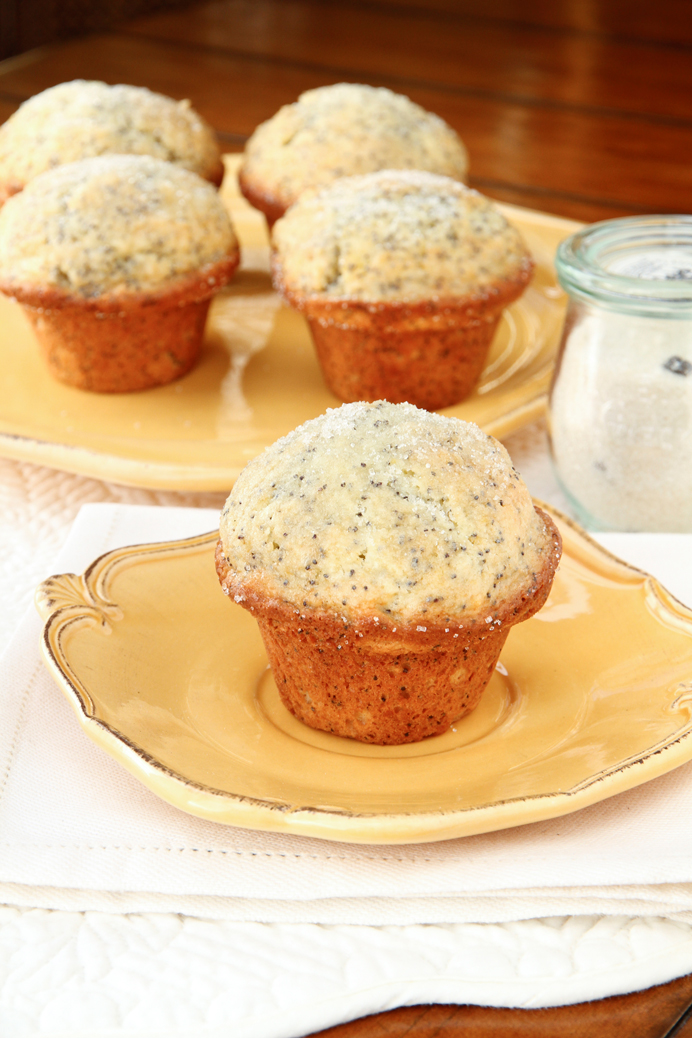 Lemon Poppyseed Muffin