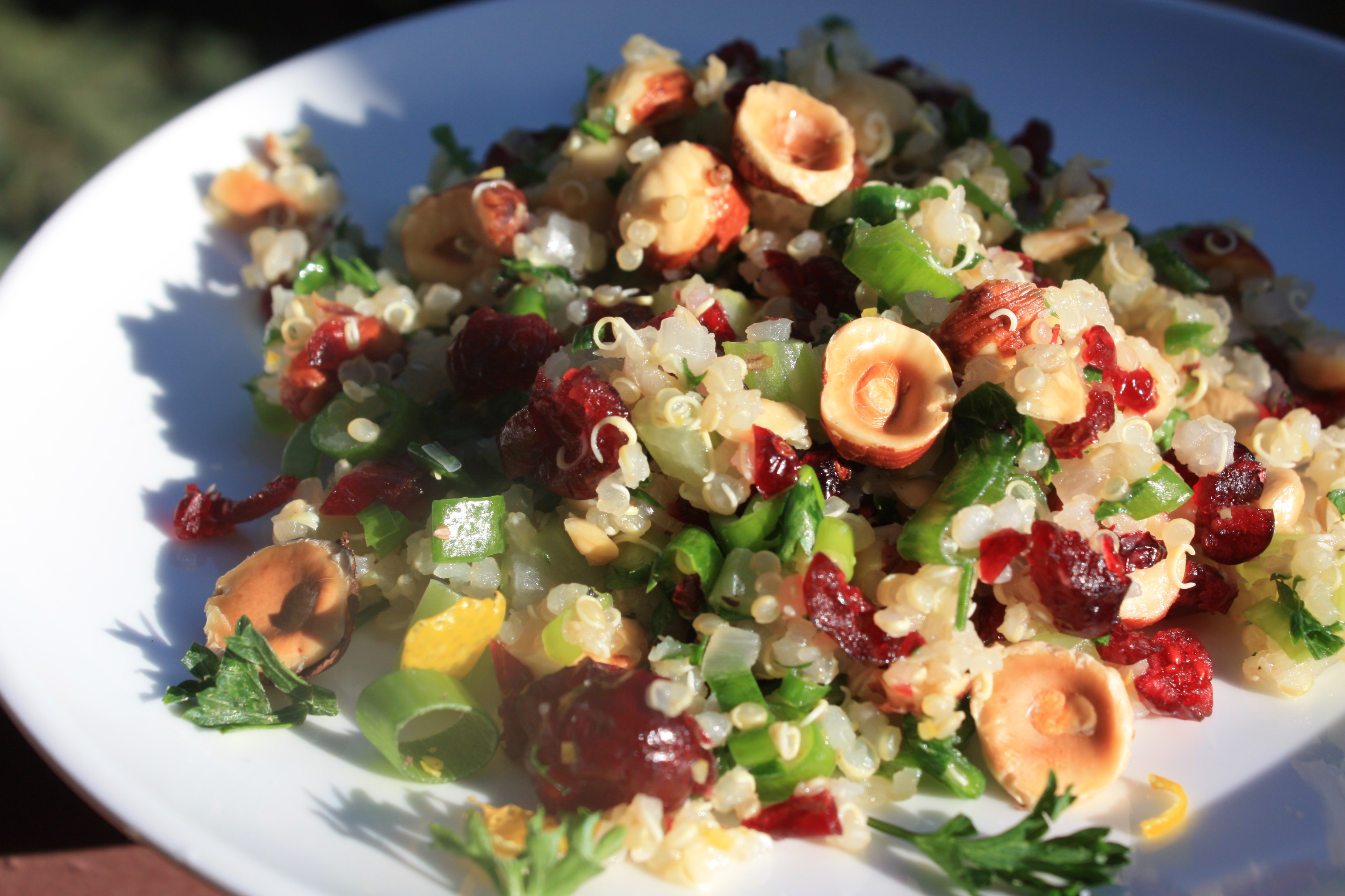 Quinoa Salad with Hazelnuts Apple and Dried Cranberries Recipe on Food52