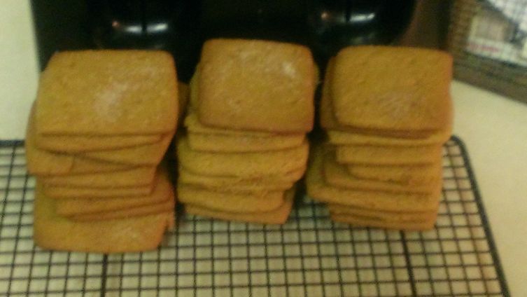 Graham Crackers Always Better at Home