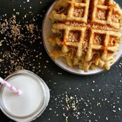 Toasted Coconut Waffles