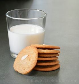 Grandma's Swedish Ginger Cookies
