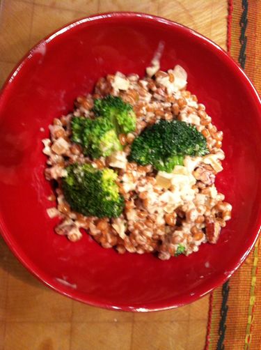 Creamy Wheat Berry Delight