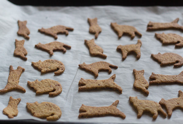 "Cat" cookies with sesame and olive oil