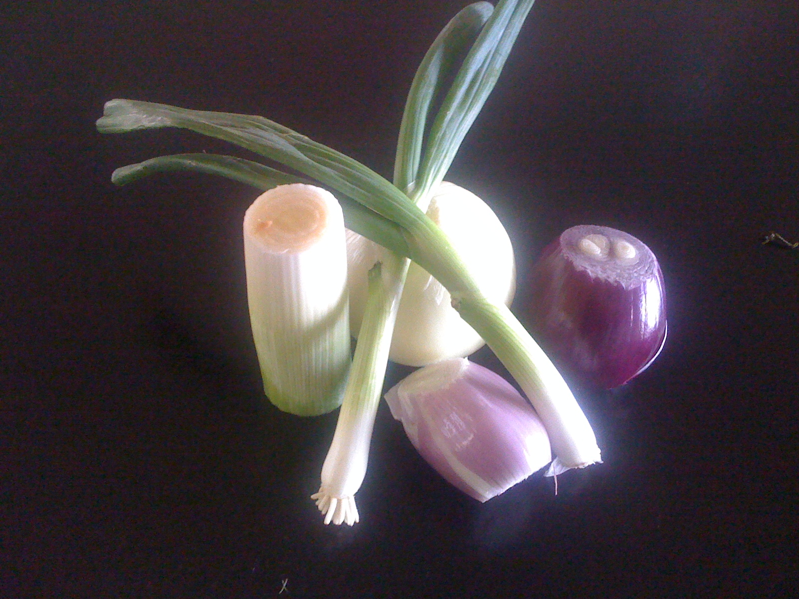 Cry Your Eyes Out Onion Soup recipe on