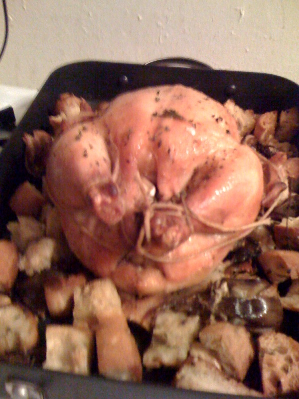 Roasted Chicken with Garlic and Bread