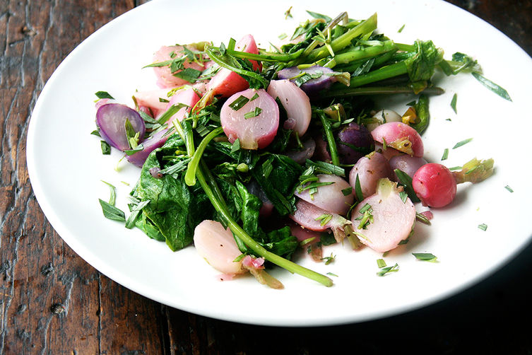 What to Do with an Overload of Radishes