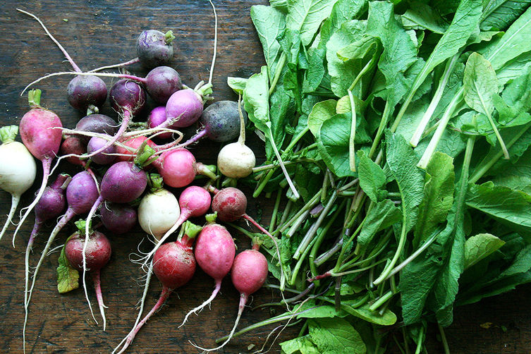 What to Do with an Overload of Radishes