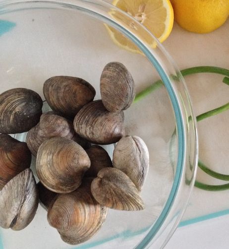 Littleneck Clam and Sandshark Cioppino