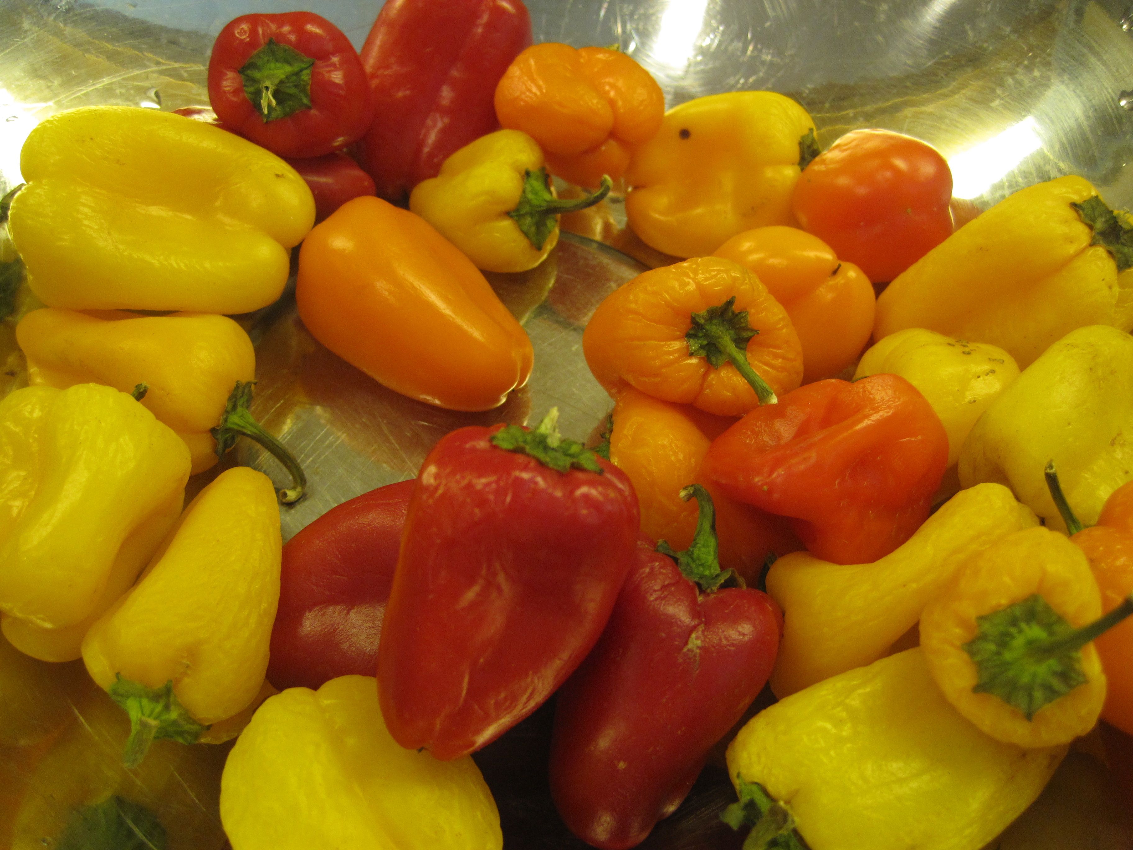 Habanero Jelly recipe on