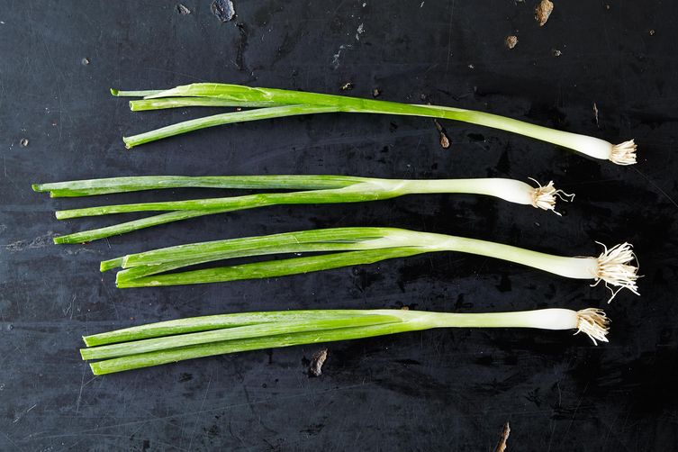 2014-0419_dnd_scallions-005