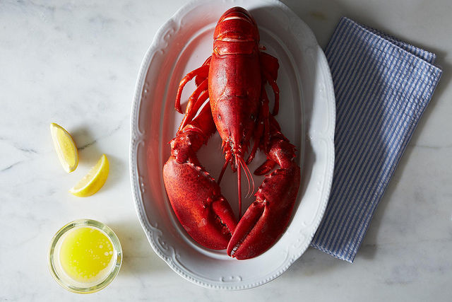 Lobsterrr