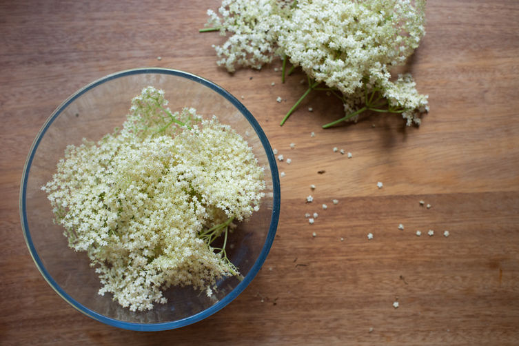 Elderflowerc-3