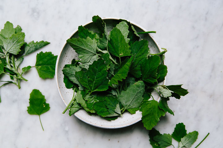 Lambsquarters